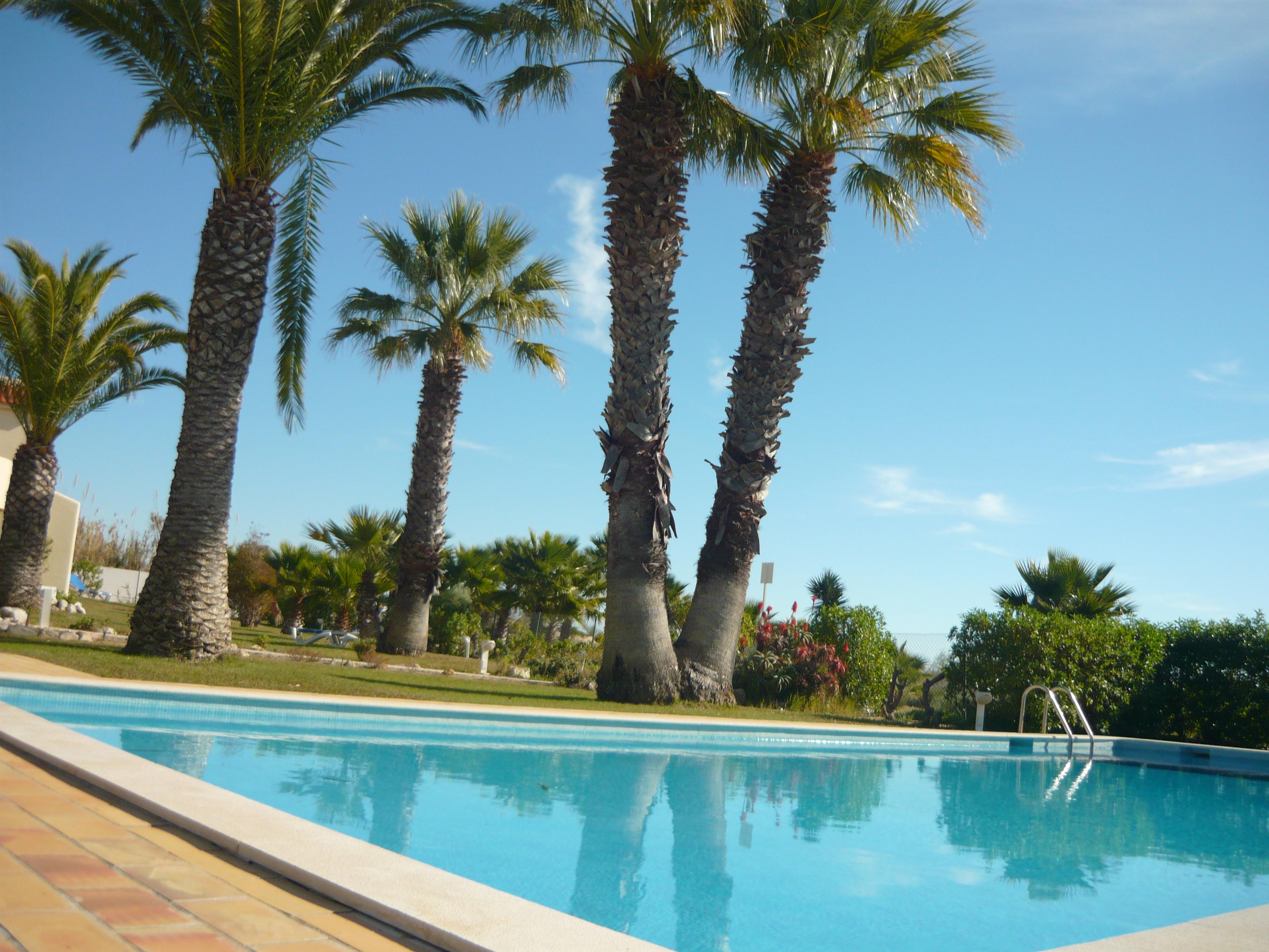 Praia Da Lota Resort - Beachfront Hotel Manta Rota Eksteriør billede